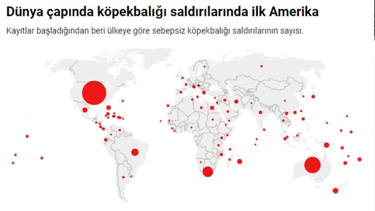 dunyada-nerelerde-kopekbaligi-var-3.jpg