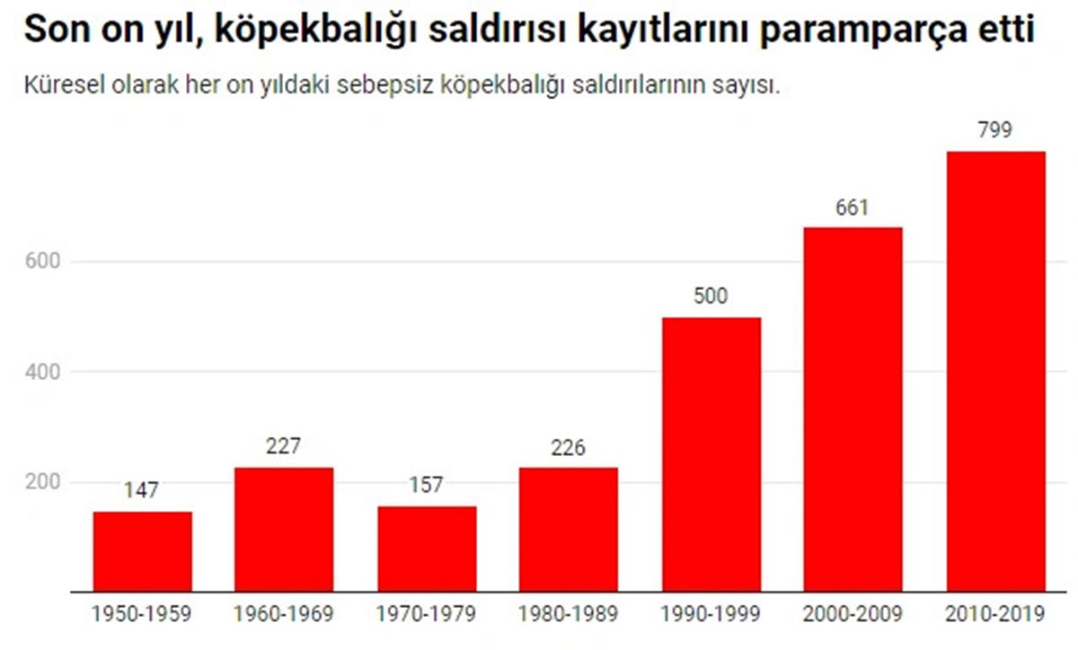 dunyada-nerelerde-kopekbaligi-var-4.jpg