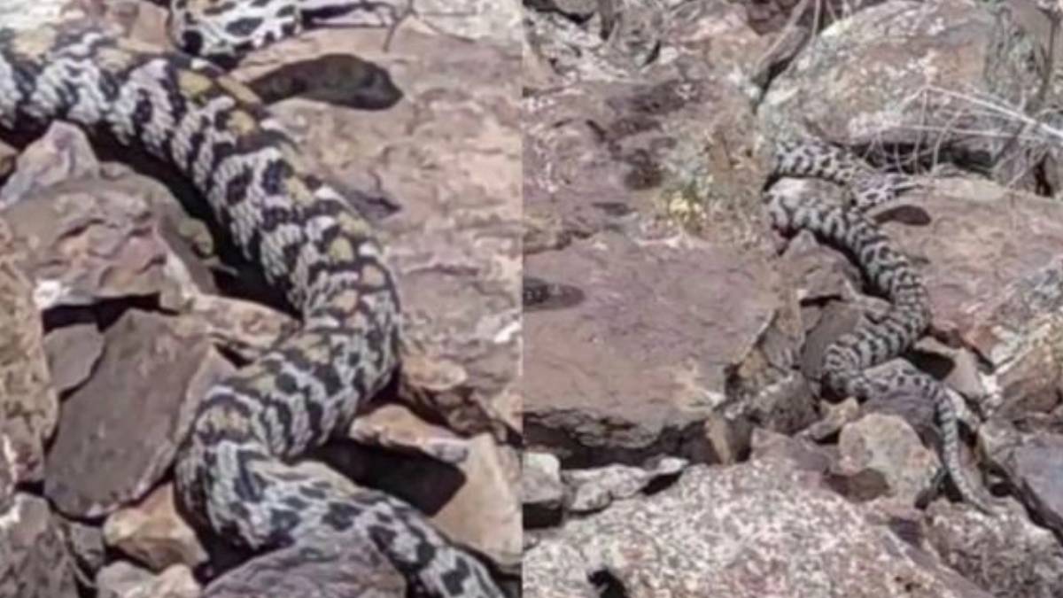 gfgfgf-2023-06-22t114721-605