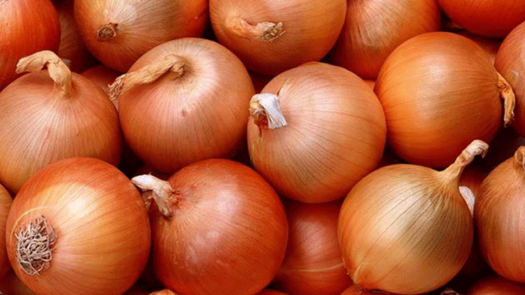 5b43121a5379ff3230684c2d