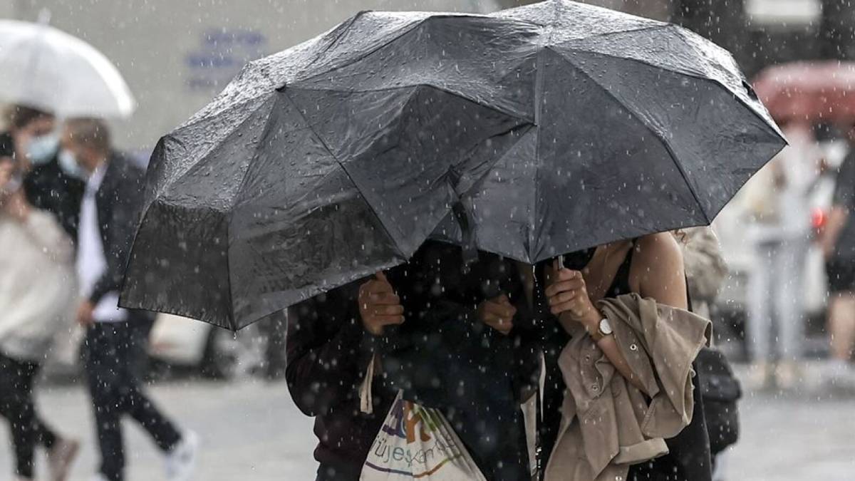 fggfgf-2023-06-25t123314-508