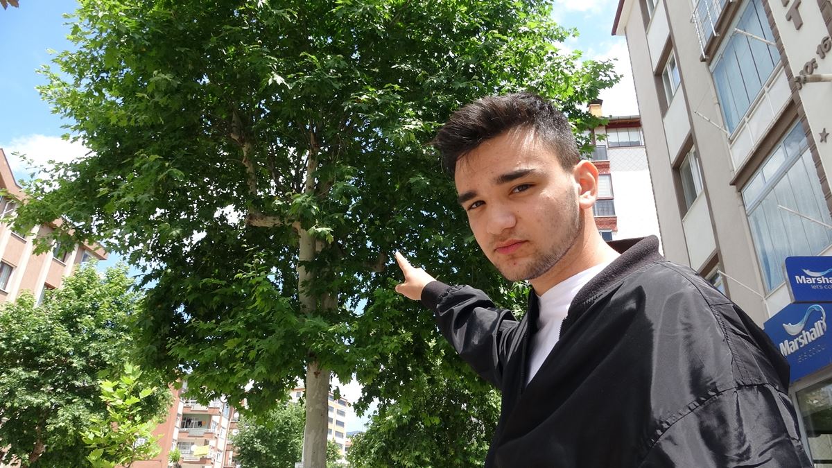 tokatta-insanlara-saldiran-karga-1