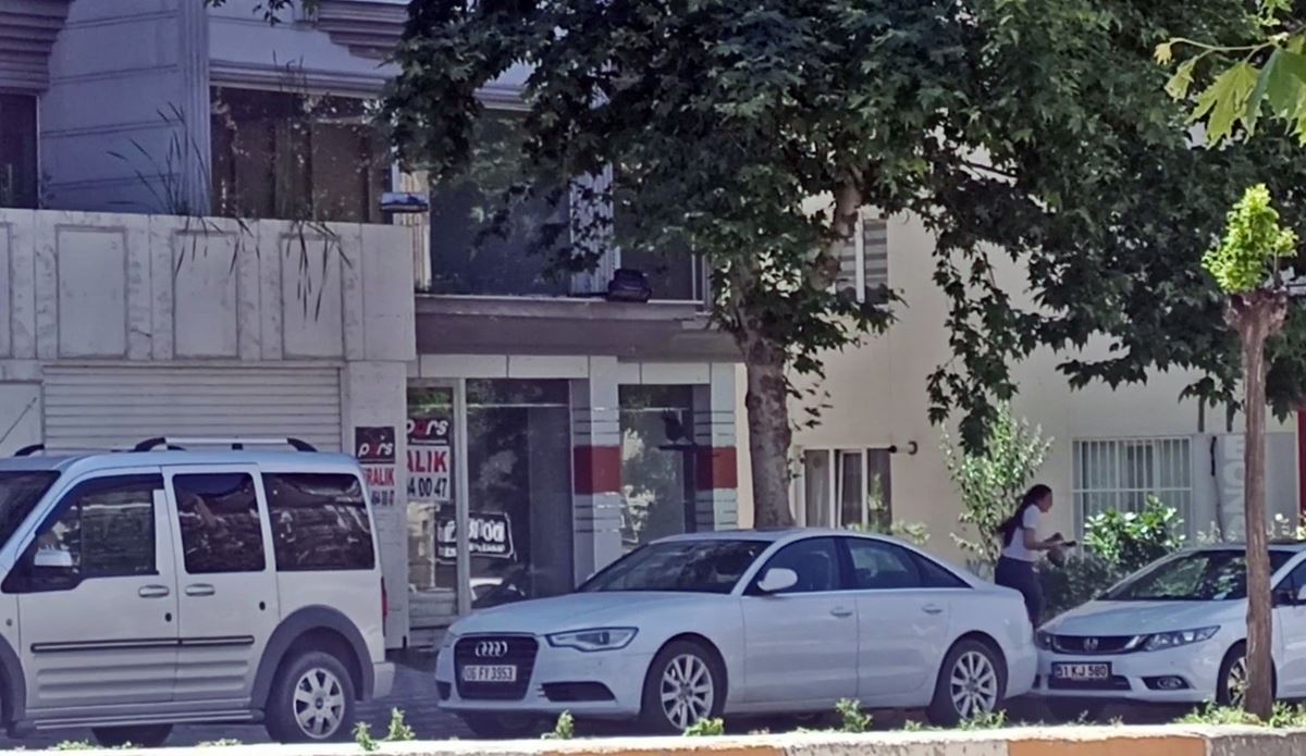 tokatta-insanlara-saldiran-karga-11