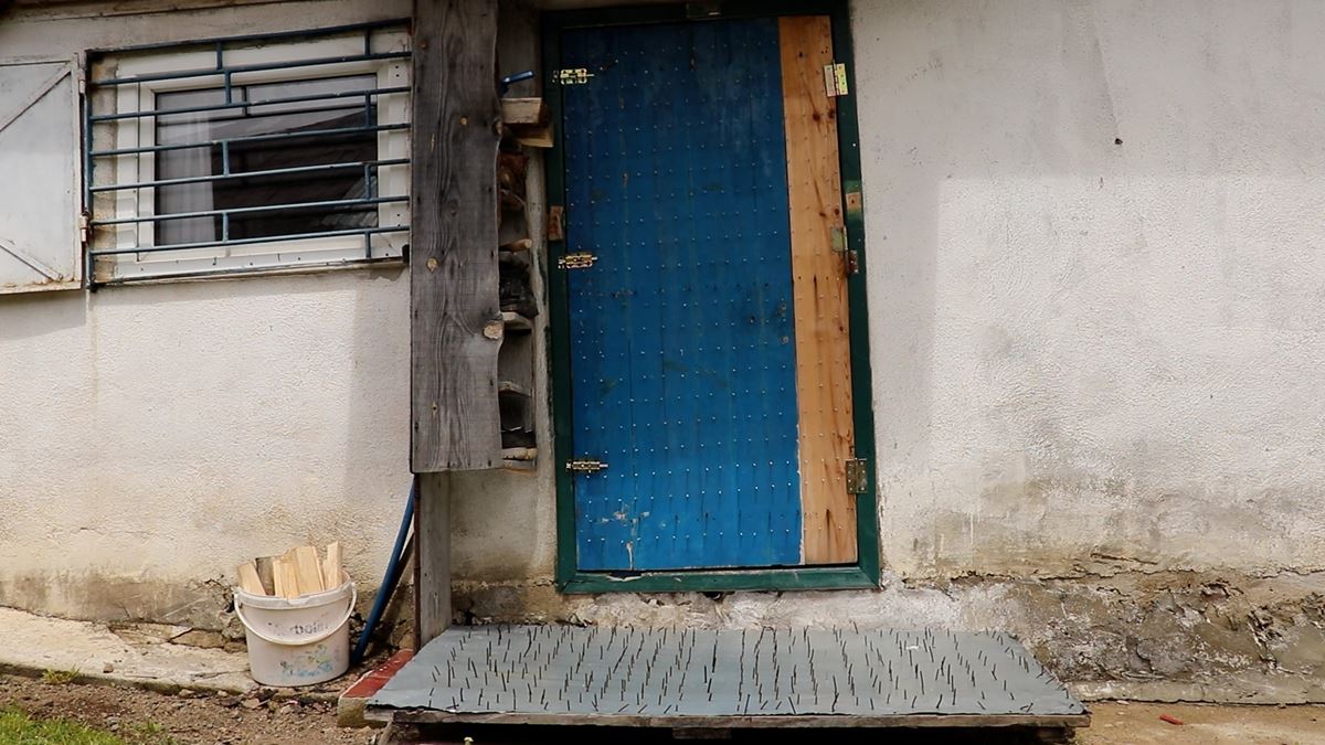 ayilara-karsi-karadeniz-usulu-cozum-10