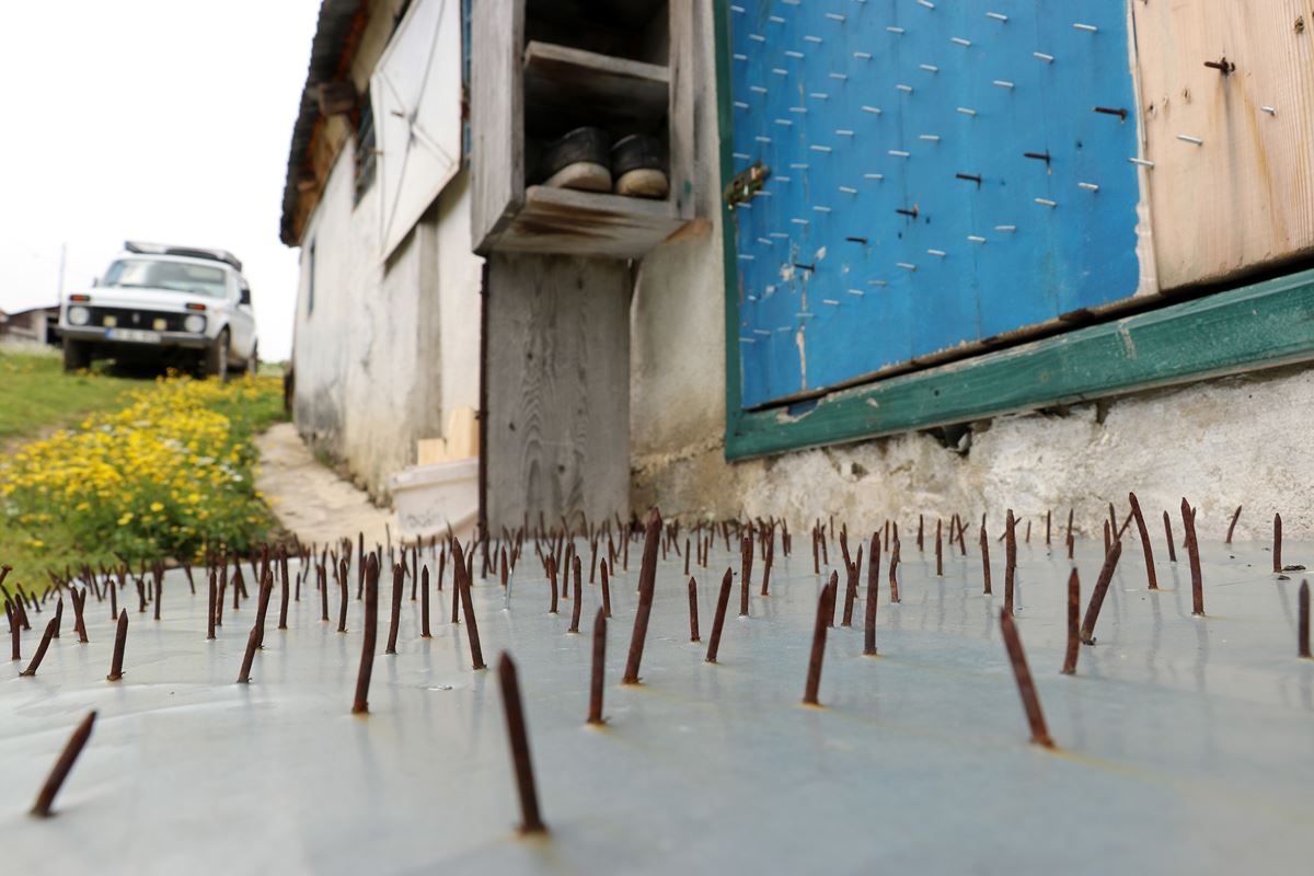 ayilara-karsi-karadeniz-usulu-cozum-3