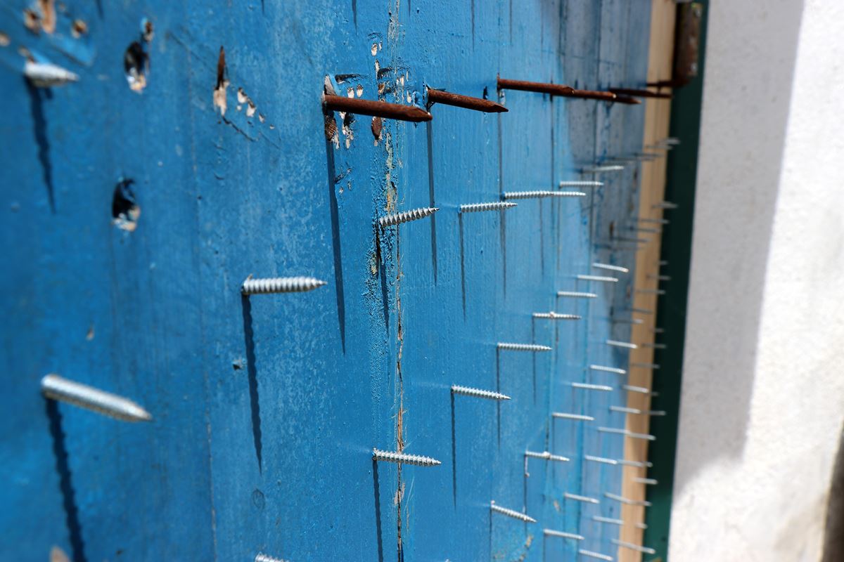 ayilara-karsi-karadeniz-usulu-cozum-4