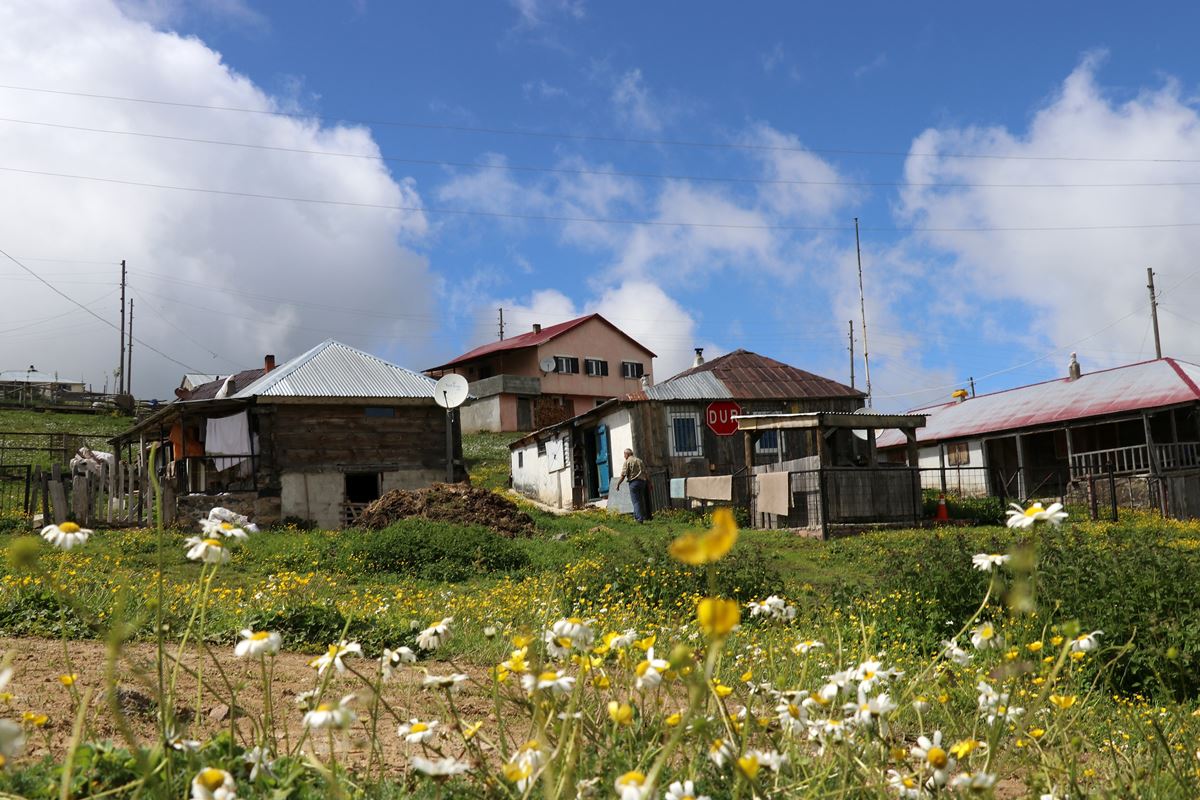 ayilara-karsi-karadeniz-usulu-cozum-8