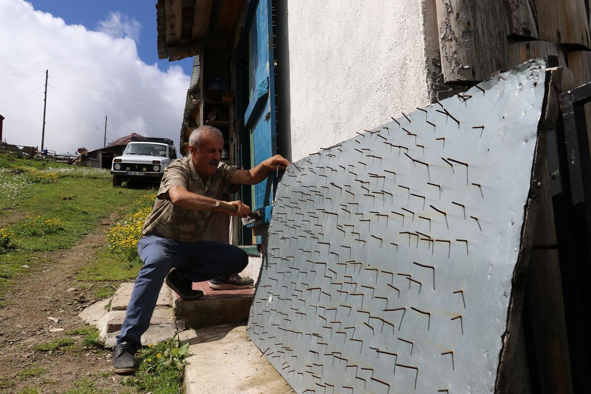 ayilara-karsi-karadeniz-usulu-cozum-9