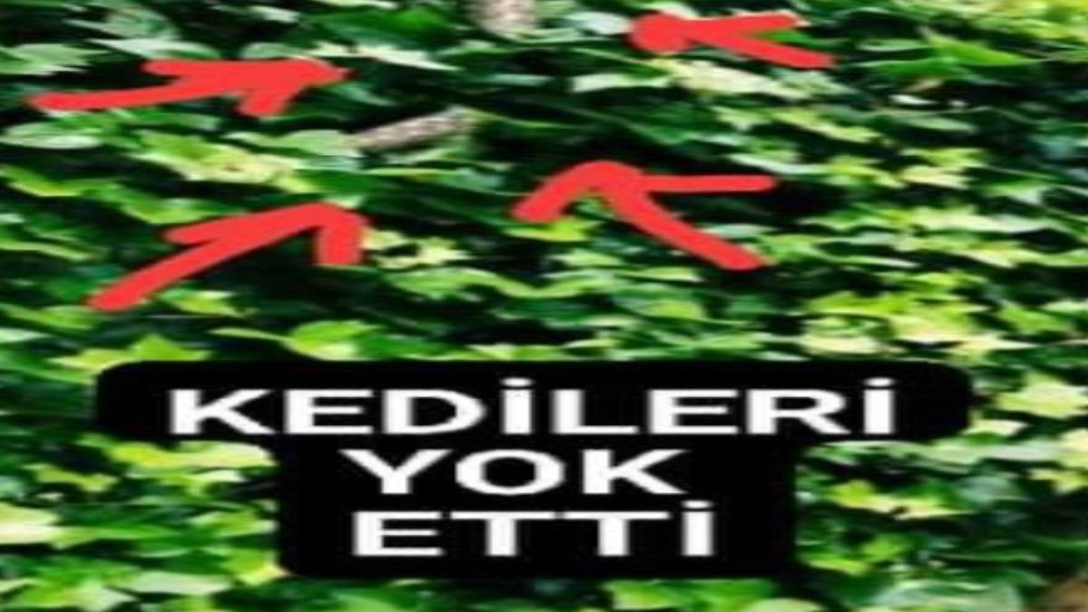 gfgfgf-2023-07-04t103521-706