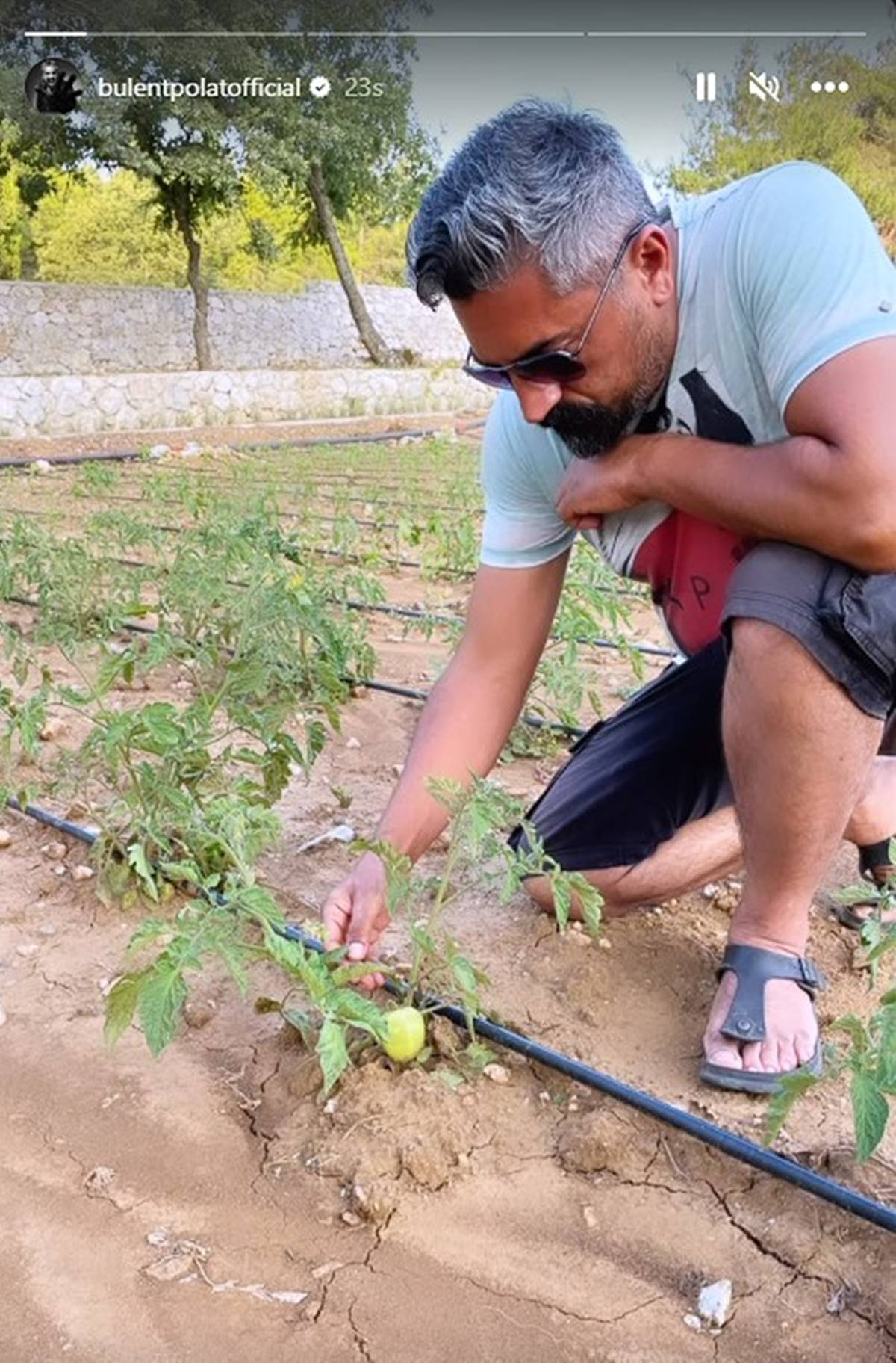 bulent-polat-ne-is-yapiyor