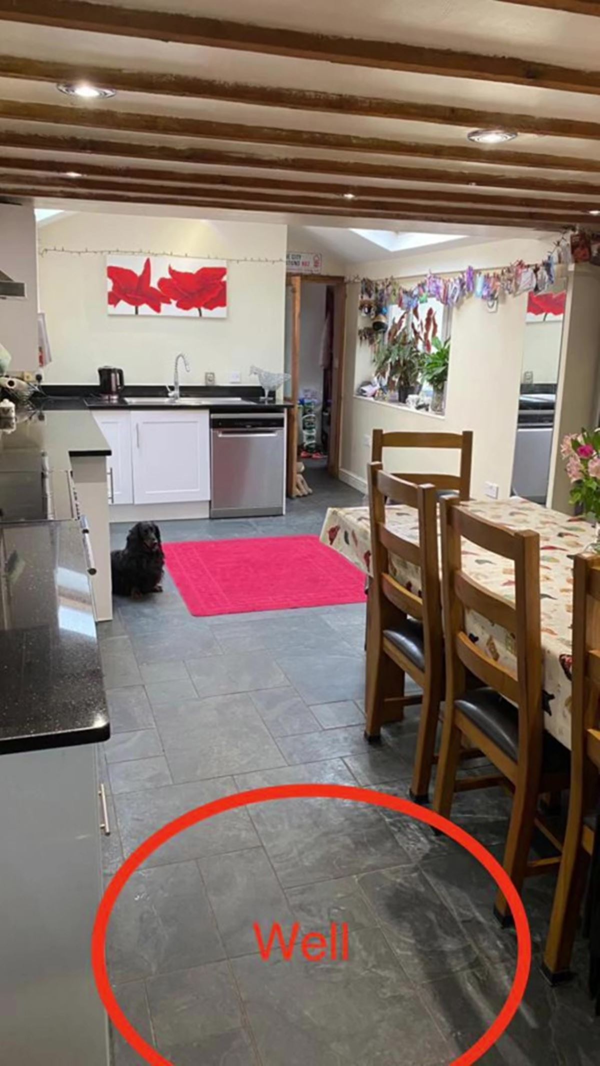 mutfaktan-kuyu-cikti-1