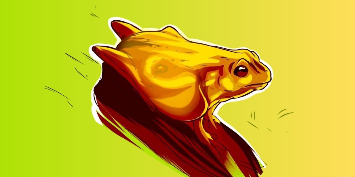 see-in-first-60-tnldrb