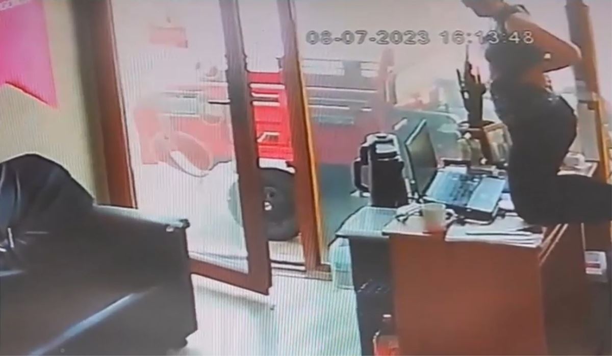 sehirde-yilan-olur-mu-3