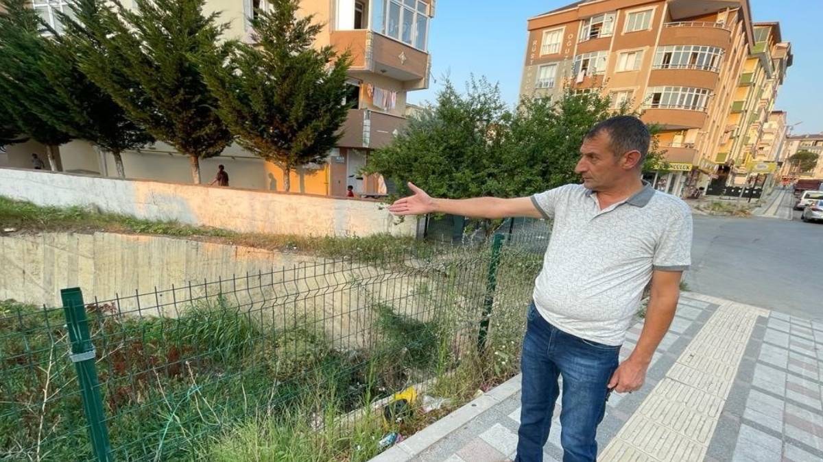 gfgfgf-2023-07-12t113228-807