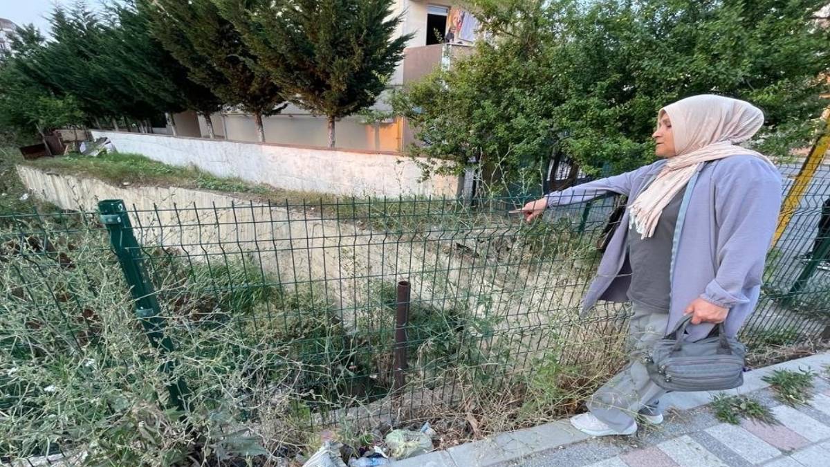 hghghg-2023-07-12t113243-577