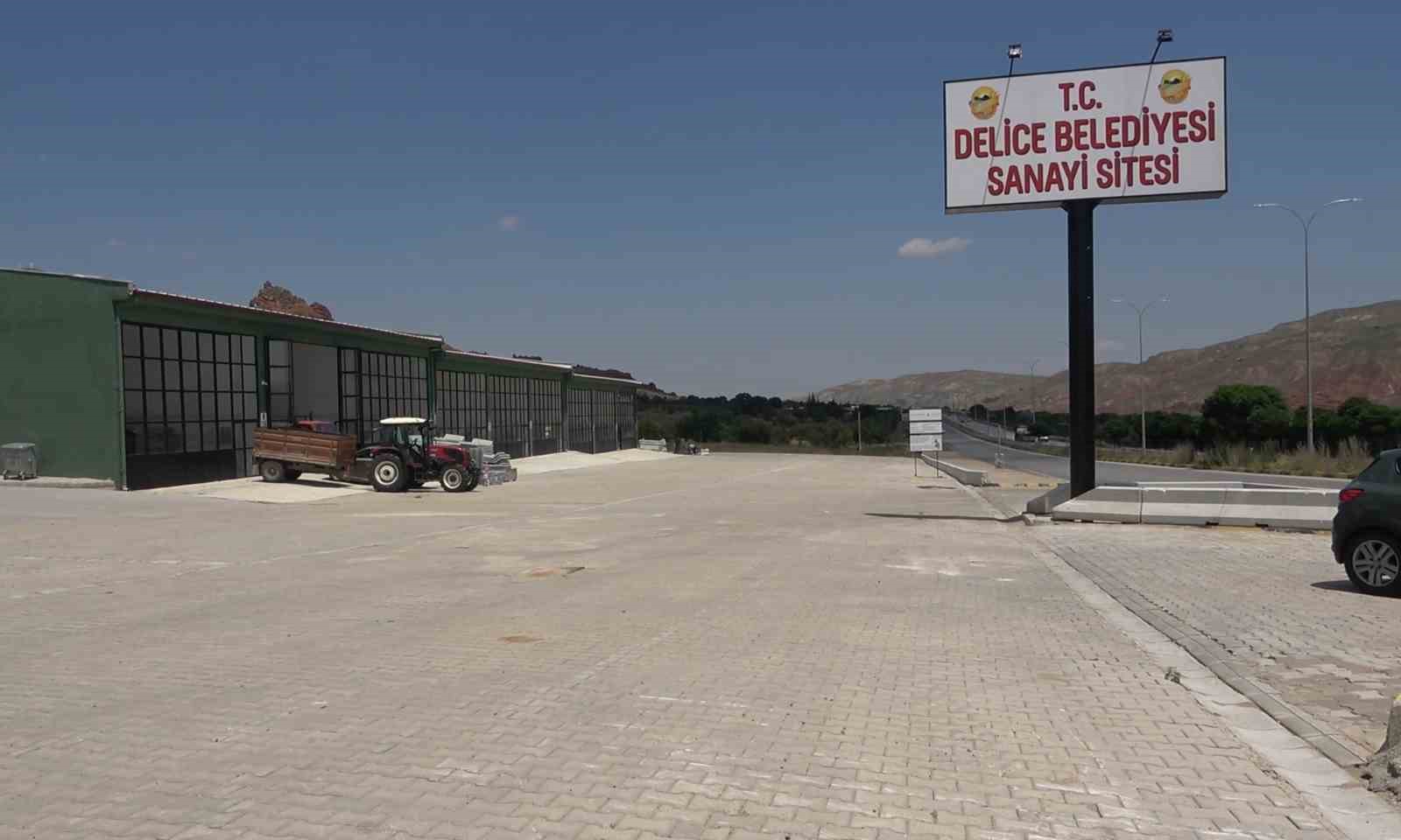 7354745.jpg