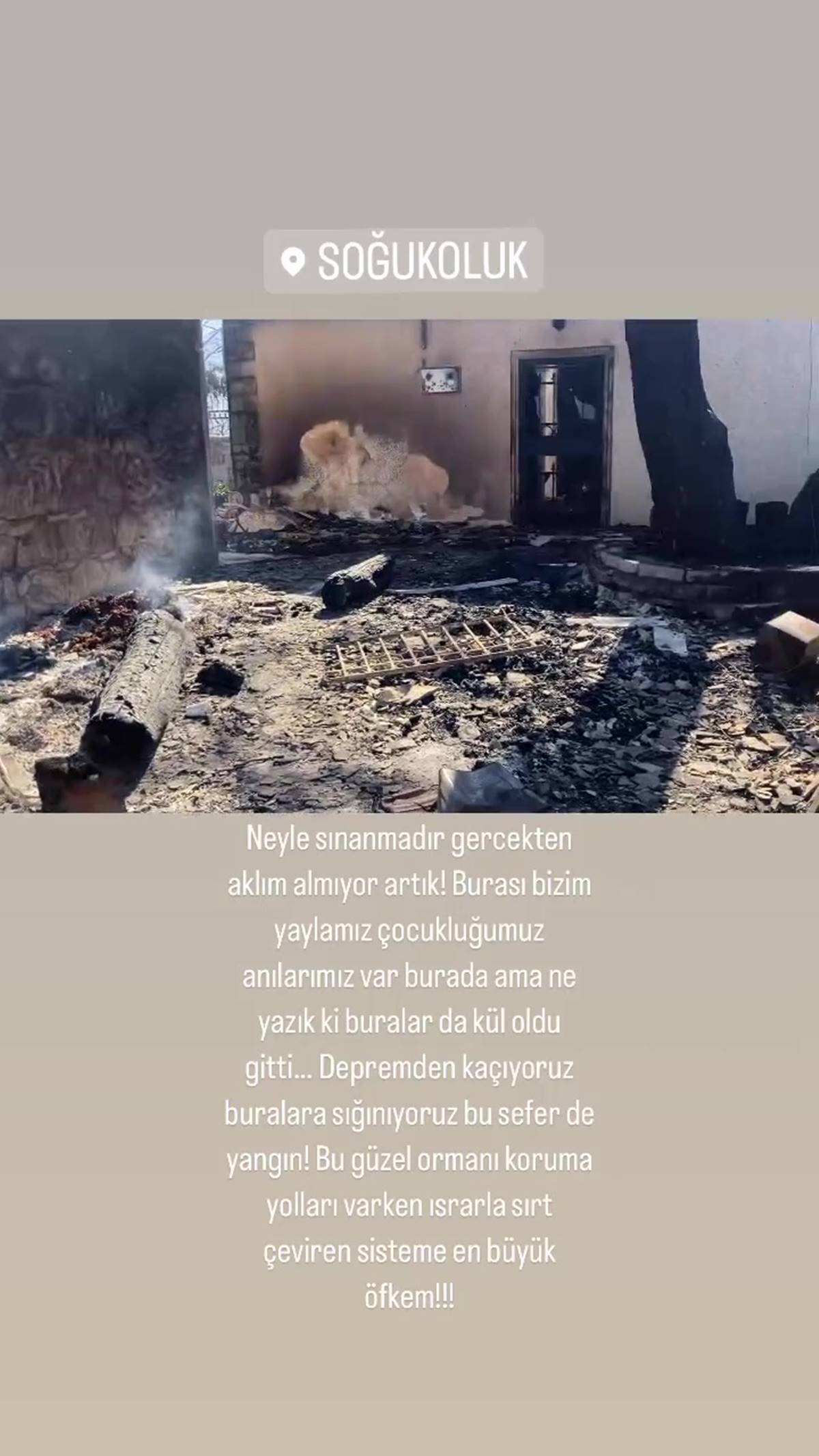 gulnur-saydam-hatay-yangin