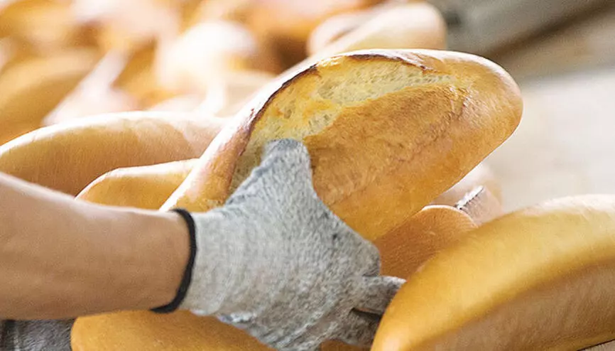 5bb3b5fe0f25431f14affe80