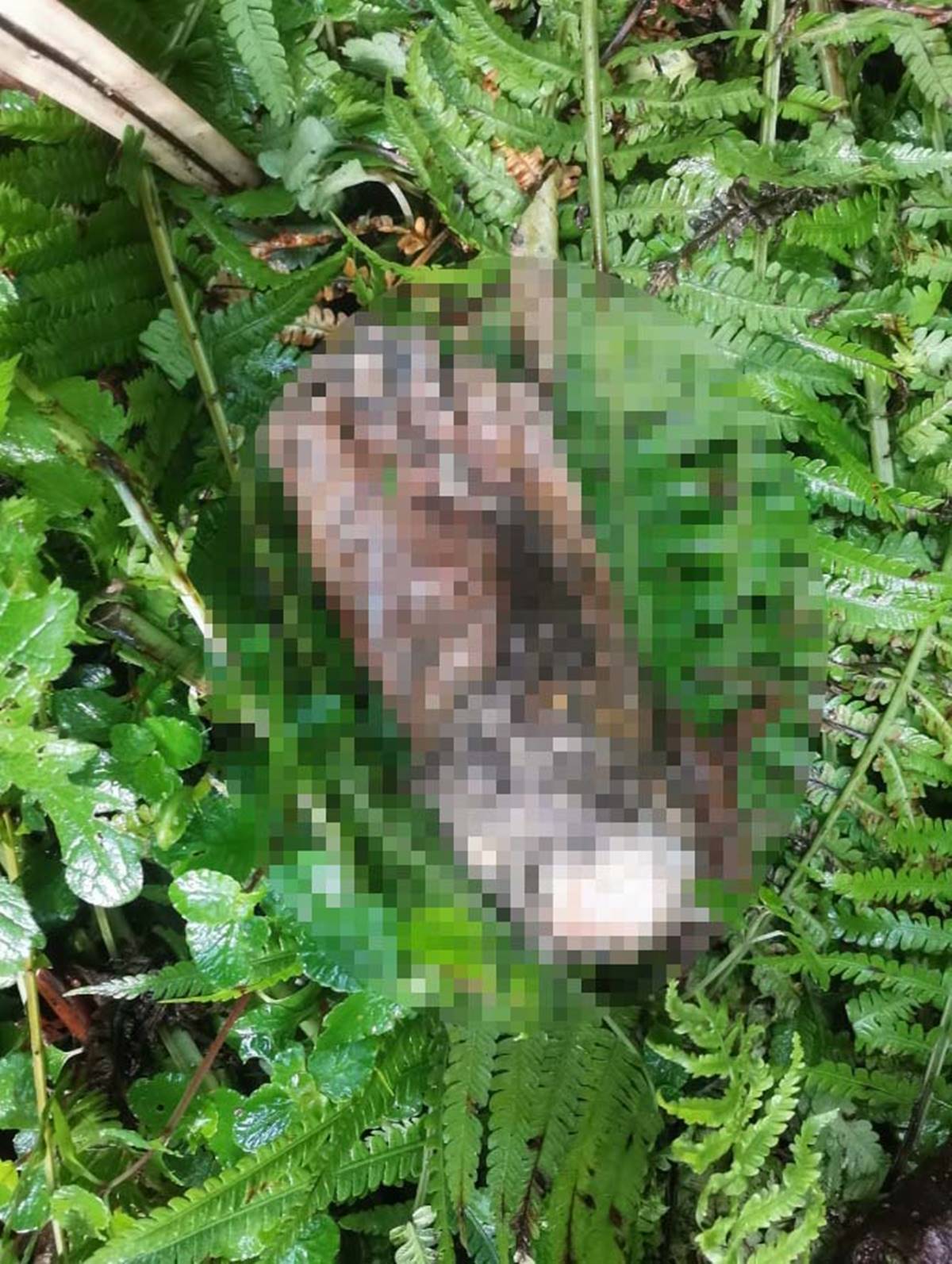 artvin-borckada-insan-ayagi-bulundu-2