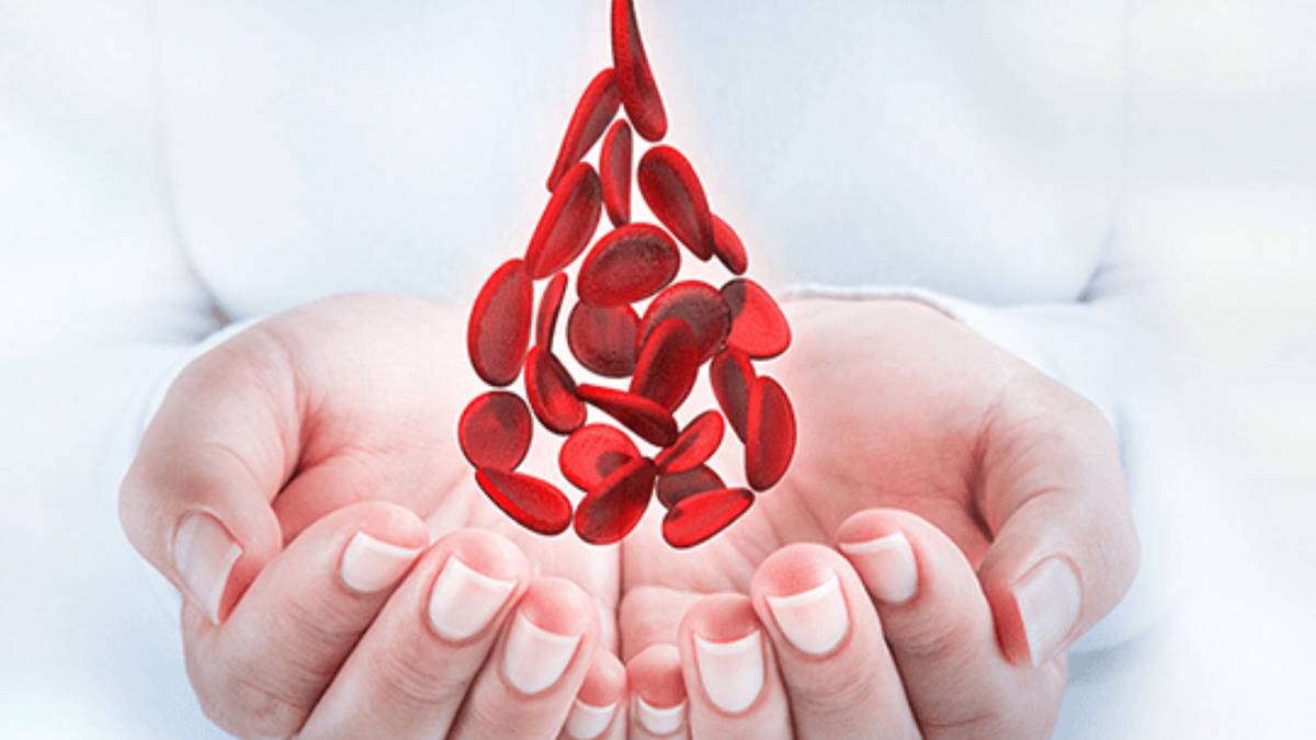 gfgfgfgf-2023-07-20t110322-636