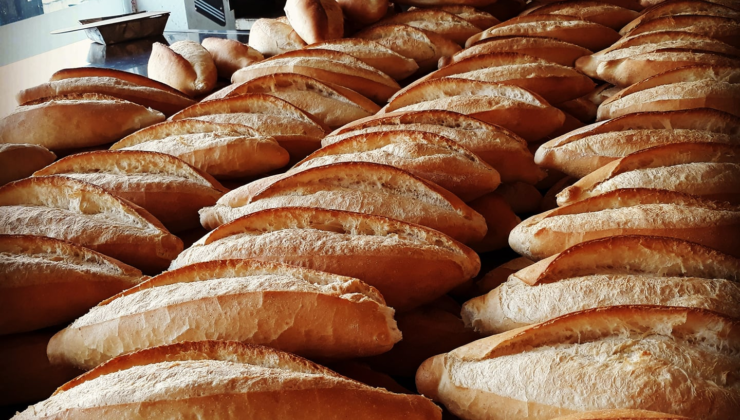 resim-2022-11-16-104455484-740x420