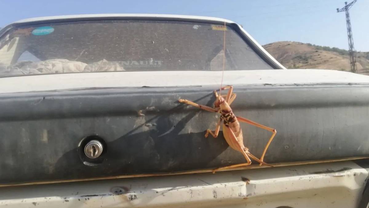 gfgfgf-2023-07-21t001704-162