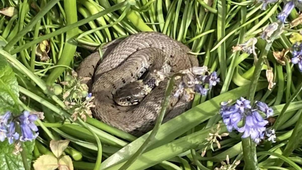 dffdfd-2023-07-22t122030-685