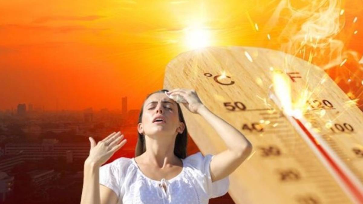 gfgfgf-2023-07-22t104917-347