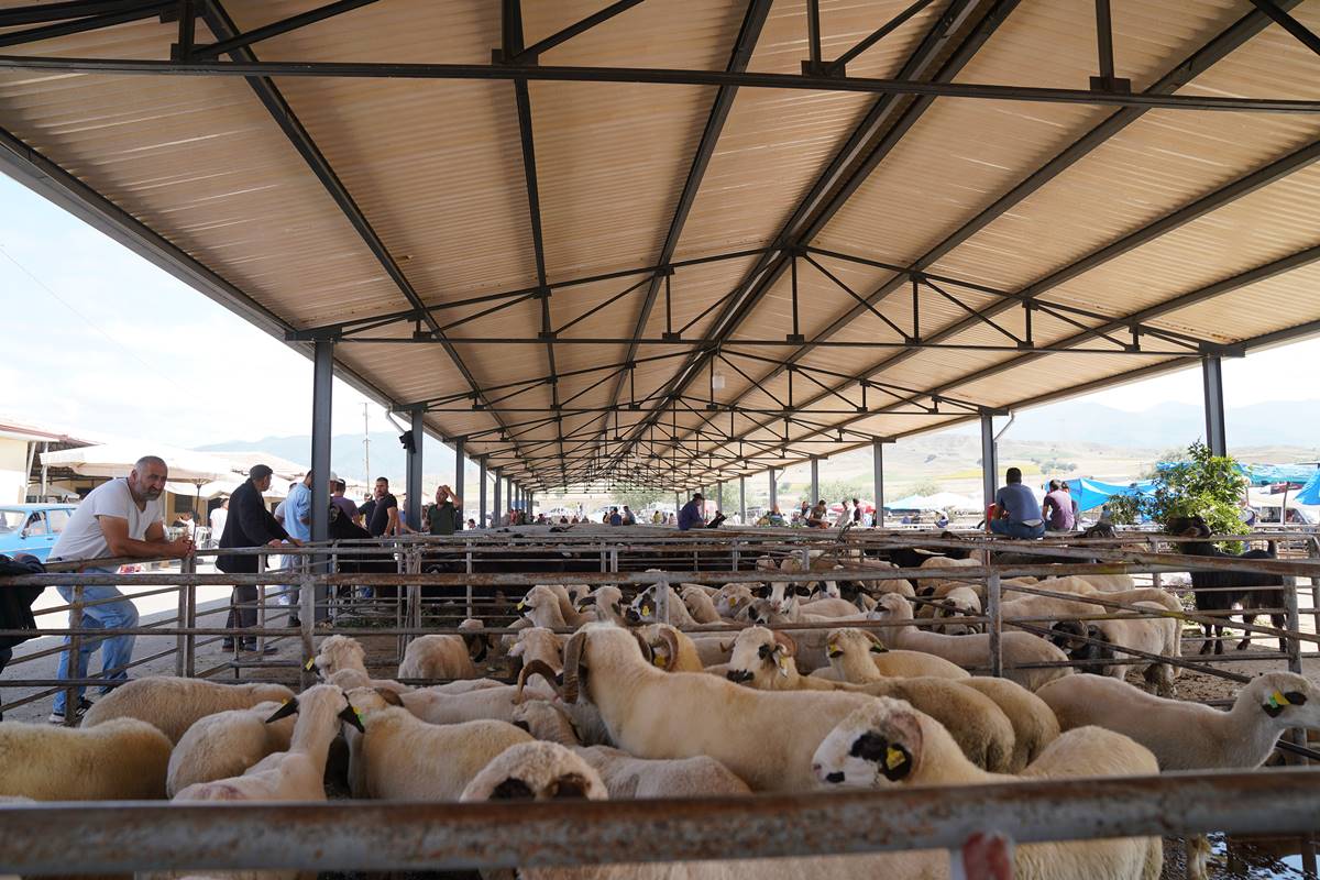 mavi-dil-hastaligi-nasil-bir-hastaliktir-1-001