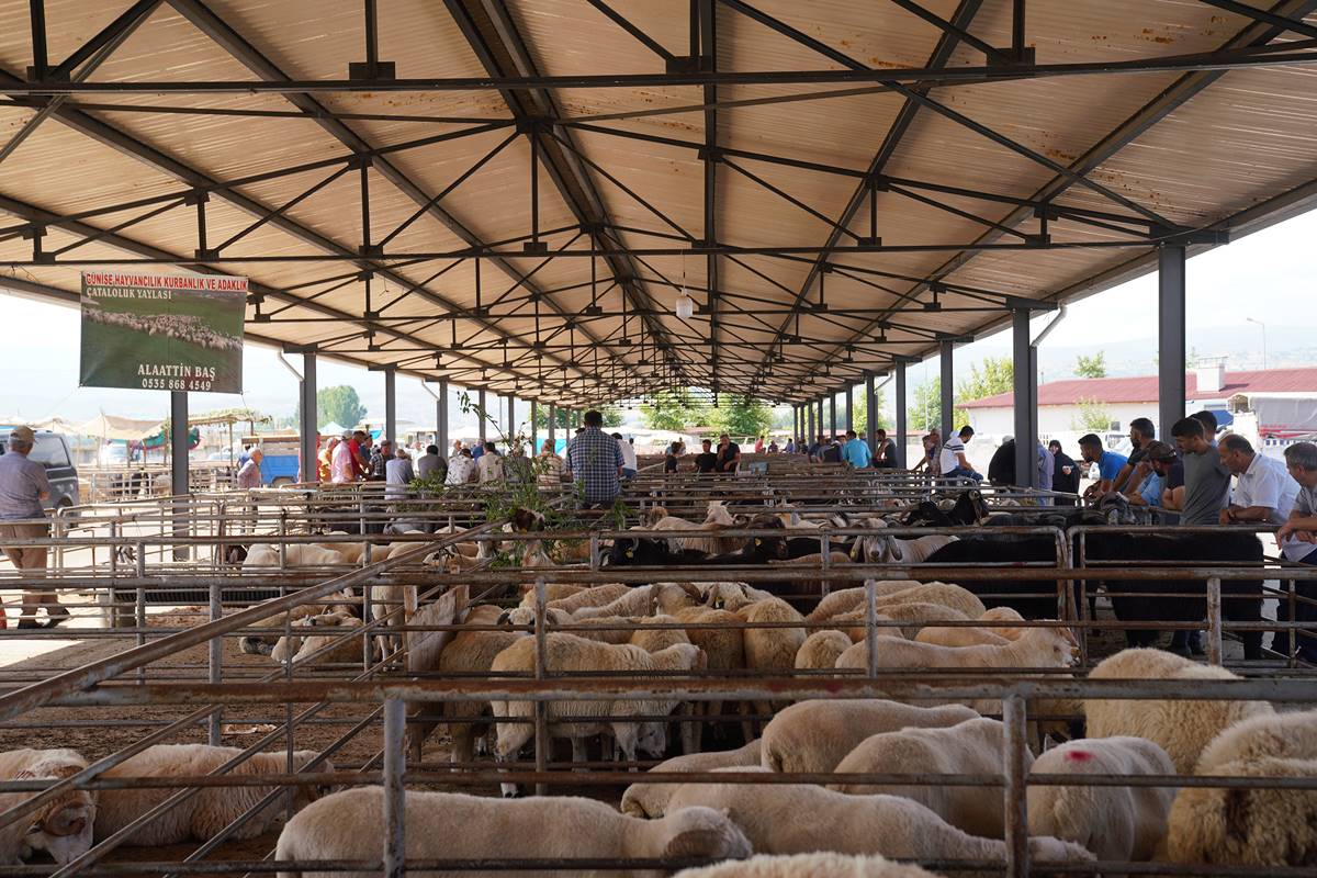 mavi-dil-hastaligi-nasil-bir-hastaliktir-2-001