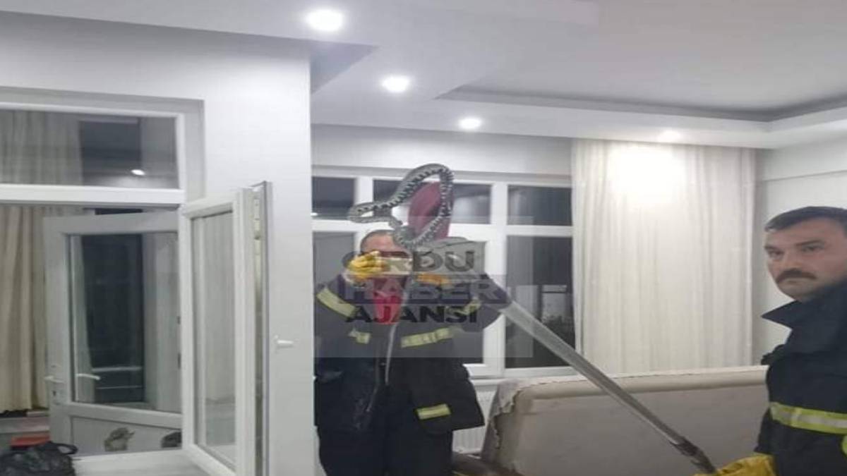 gfgfgf-2023-07-25t104247-124