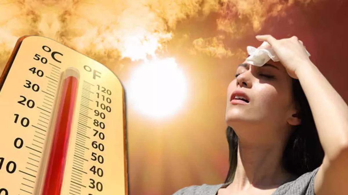 gfgfgf-2023-07-25t111248-763