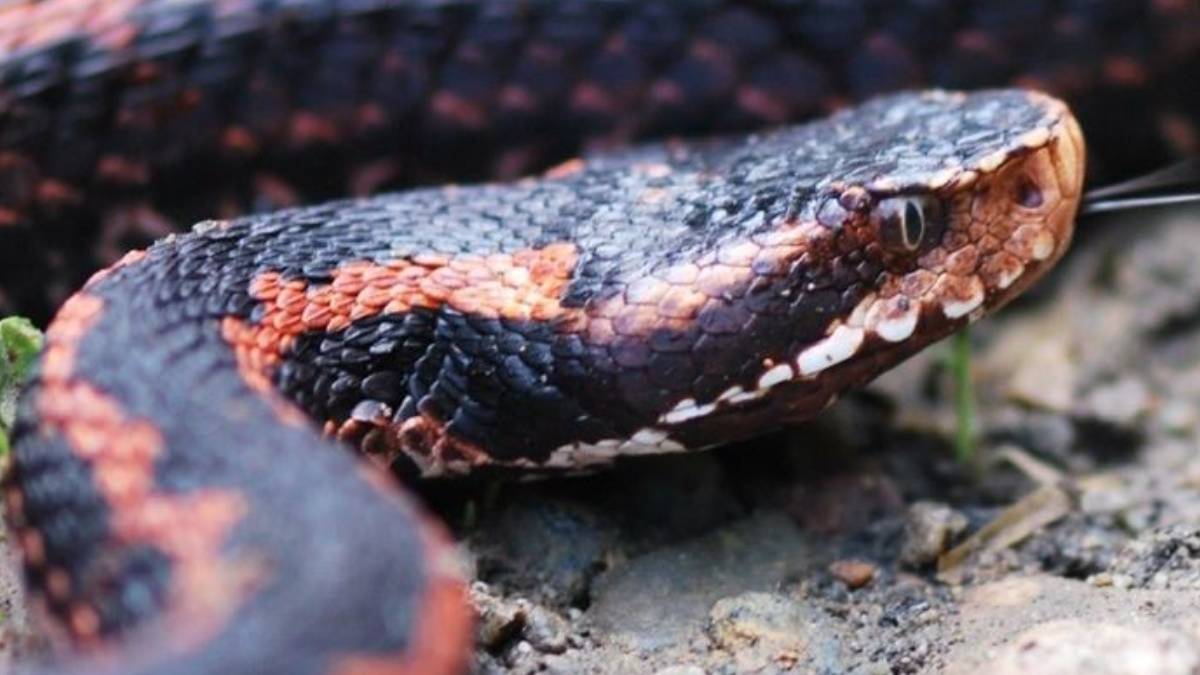 ghhggh-2023-07-25t104310-931