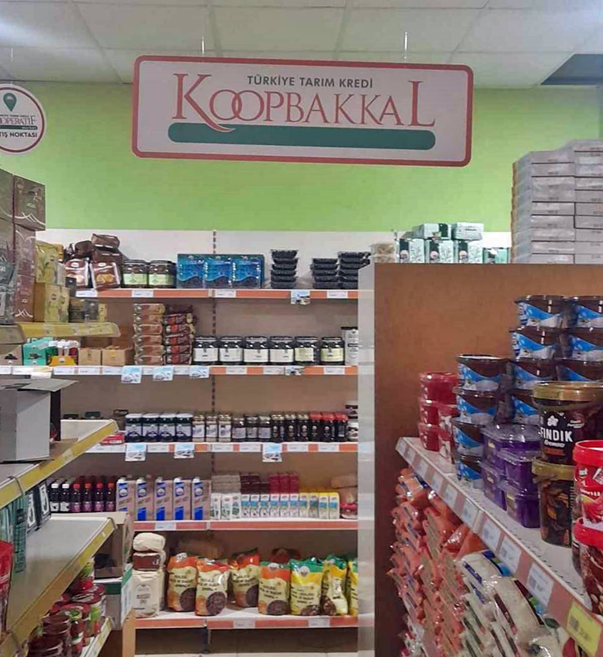 koopbakkal-nerede-var