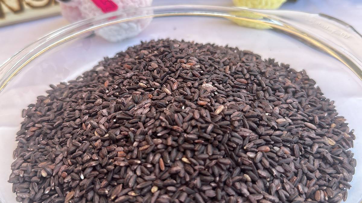 siyah-pirinc-nedir-faydalari-neler-6