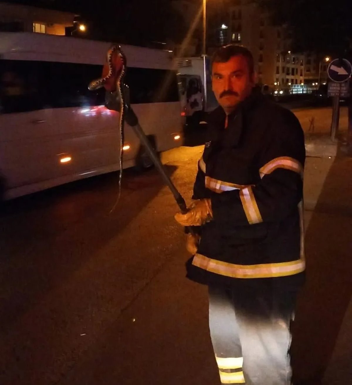 piknik-yaparken-cantaya-yilan-girdi-3