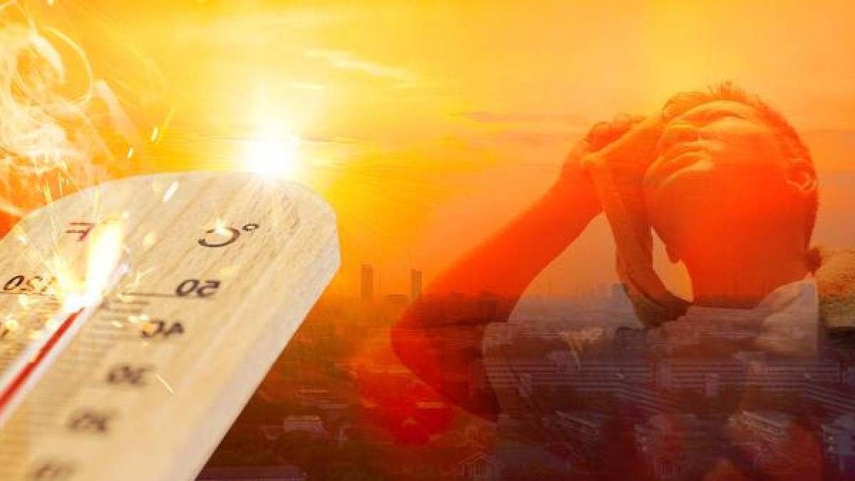 gfgfgf-2023-07-28t113435-710