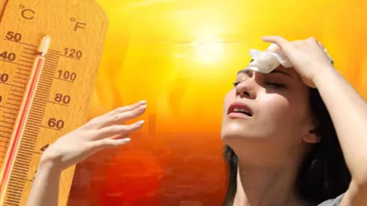 gfgfgf-2023-07-28t113458-418