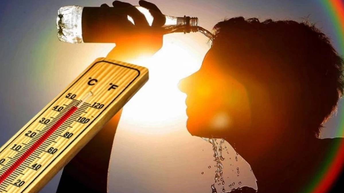 gfgfgf-2023-07-29t104029-511