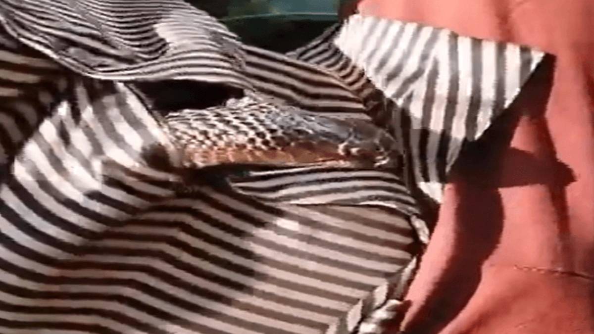 gfgfgfgf-2023-07-30t132734-917