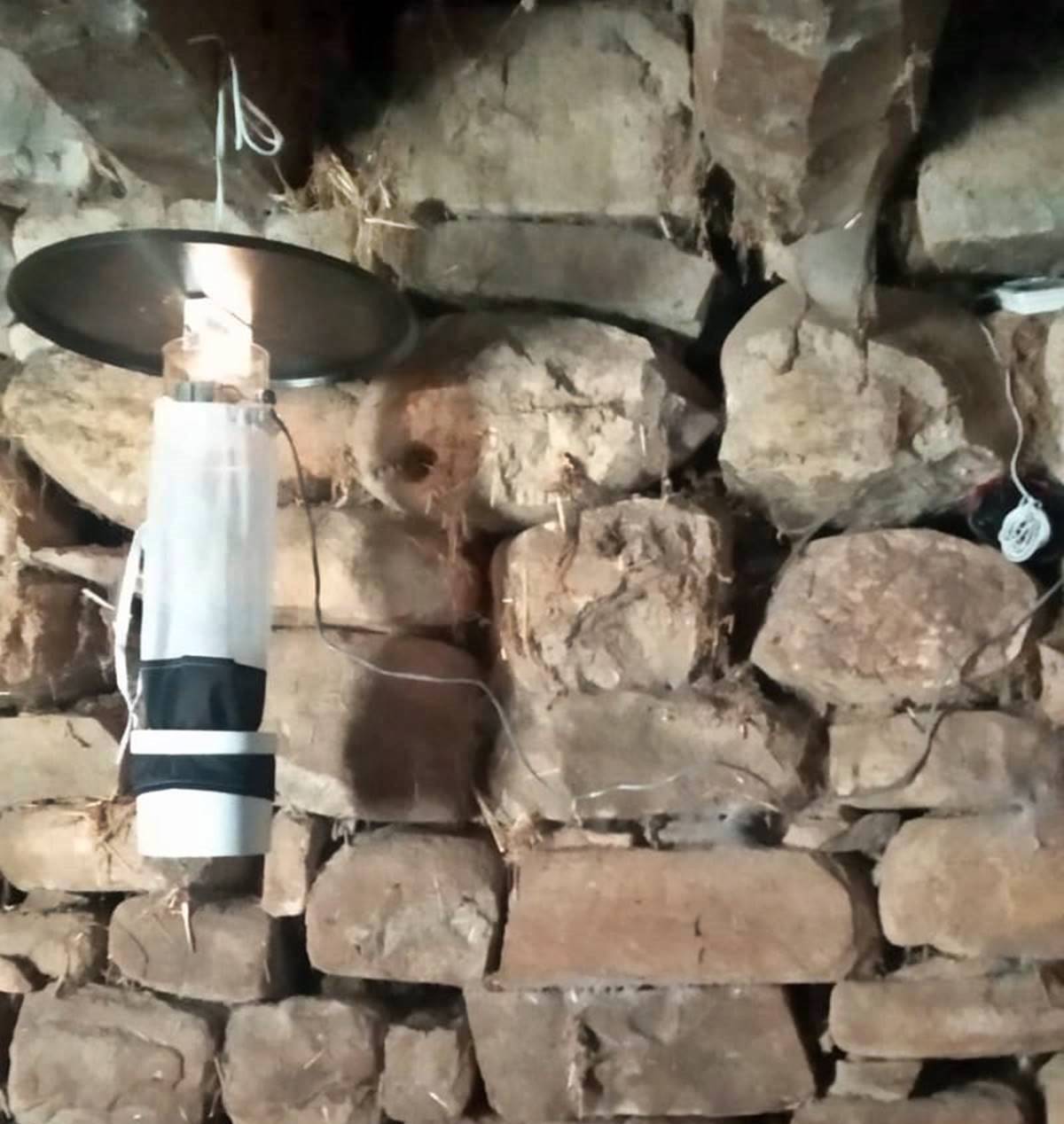 yakagan-sinekleri-zararlari-neler-2