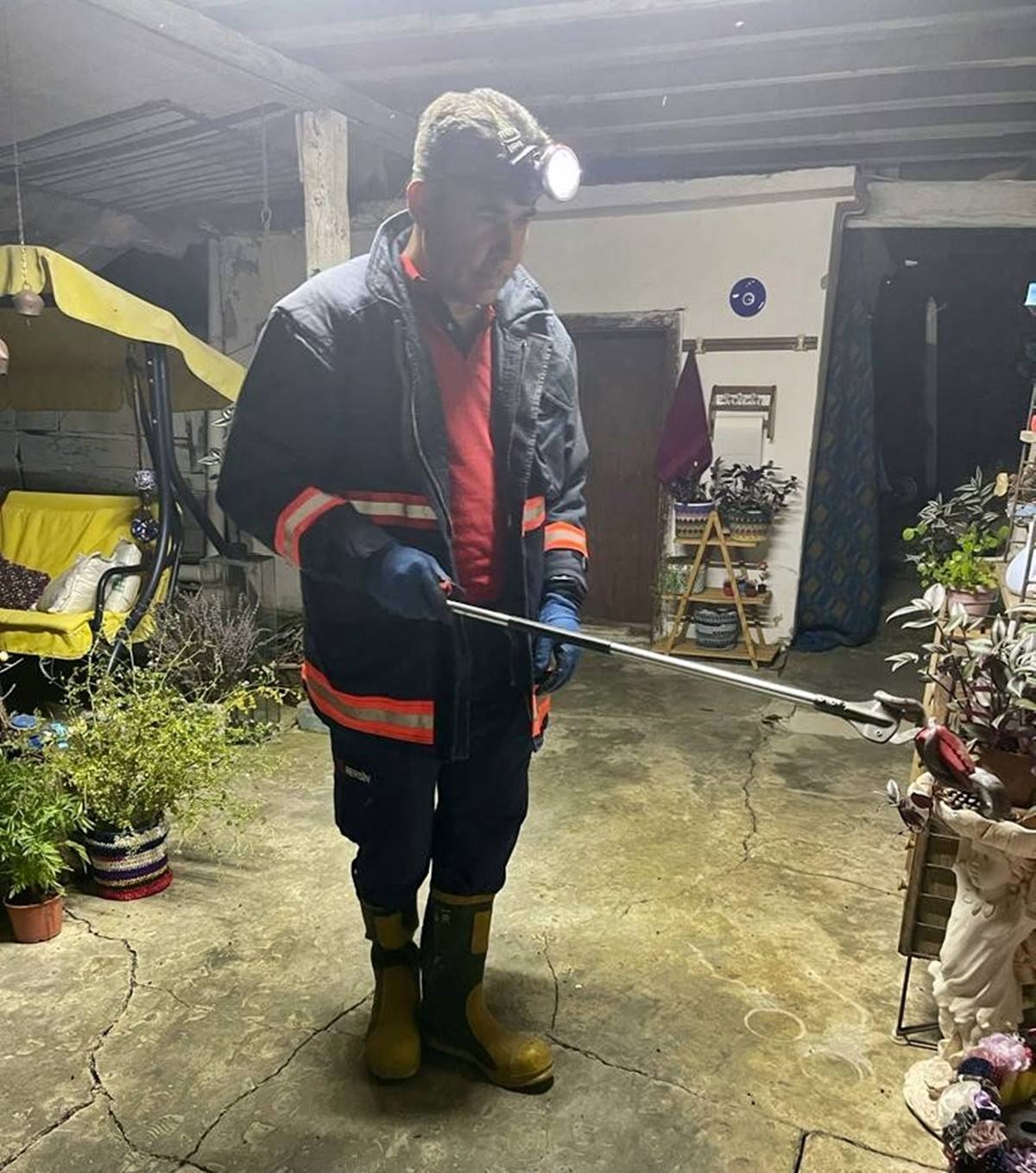 boz-yilan-zehirli-mi-2