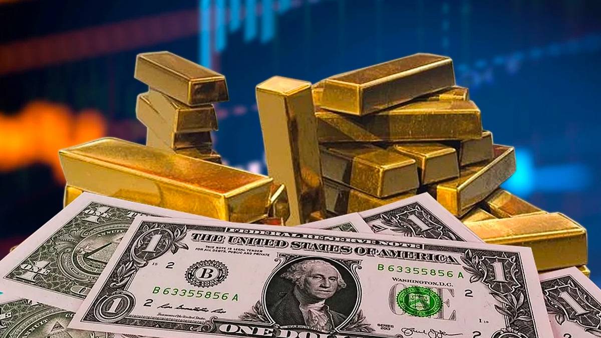 gfgfgfgf-2023-08-01t114214-967