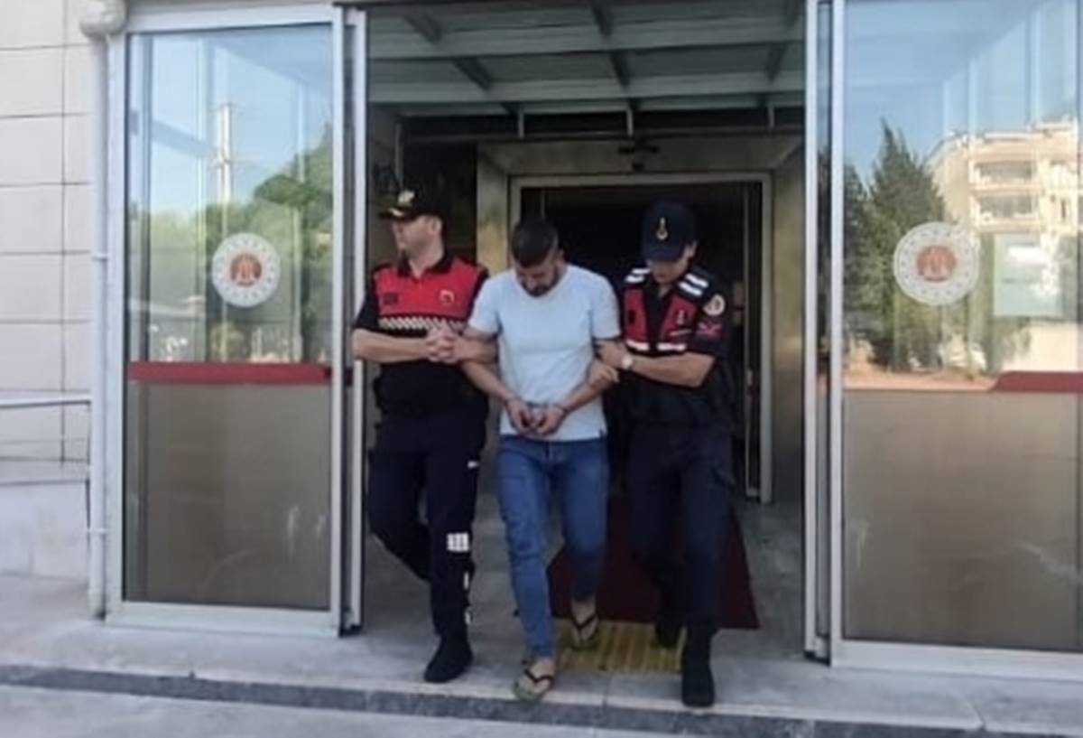 zeytin-tankina-ciplak-giren-adam-tutuklandi-mi-serbest-mi-3