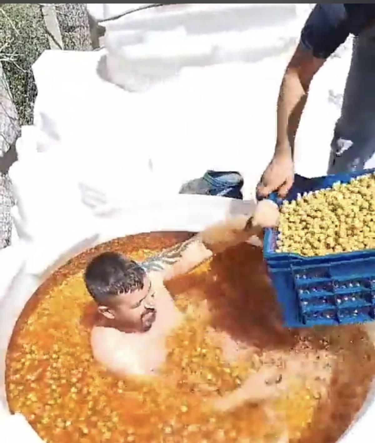 zeytin-tankina-ciplak-giren-adam-tutuklandi-mi-serbest-mi-6