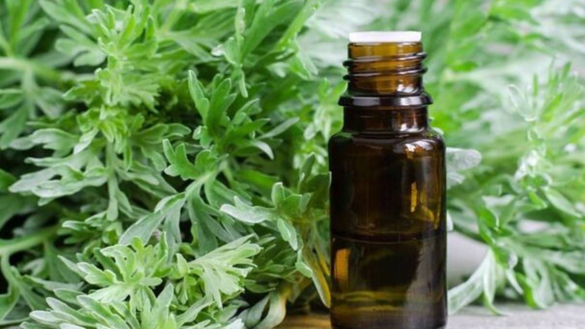 fggfgf-2023-08-02t142111-516