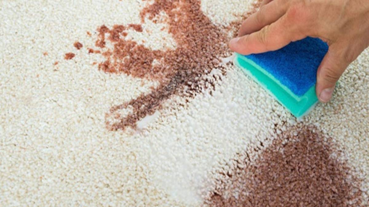 fggfgf-2023-08-02t155137-159