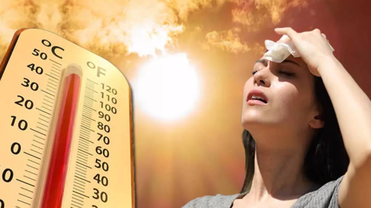 fdfdfd-2023-08-03t131522-554