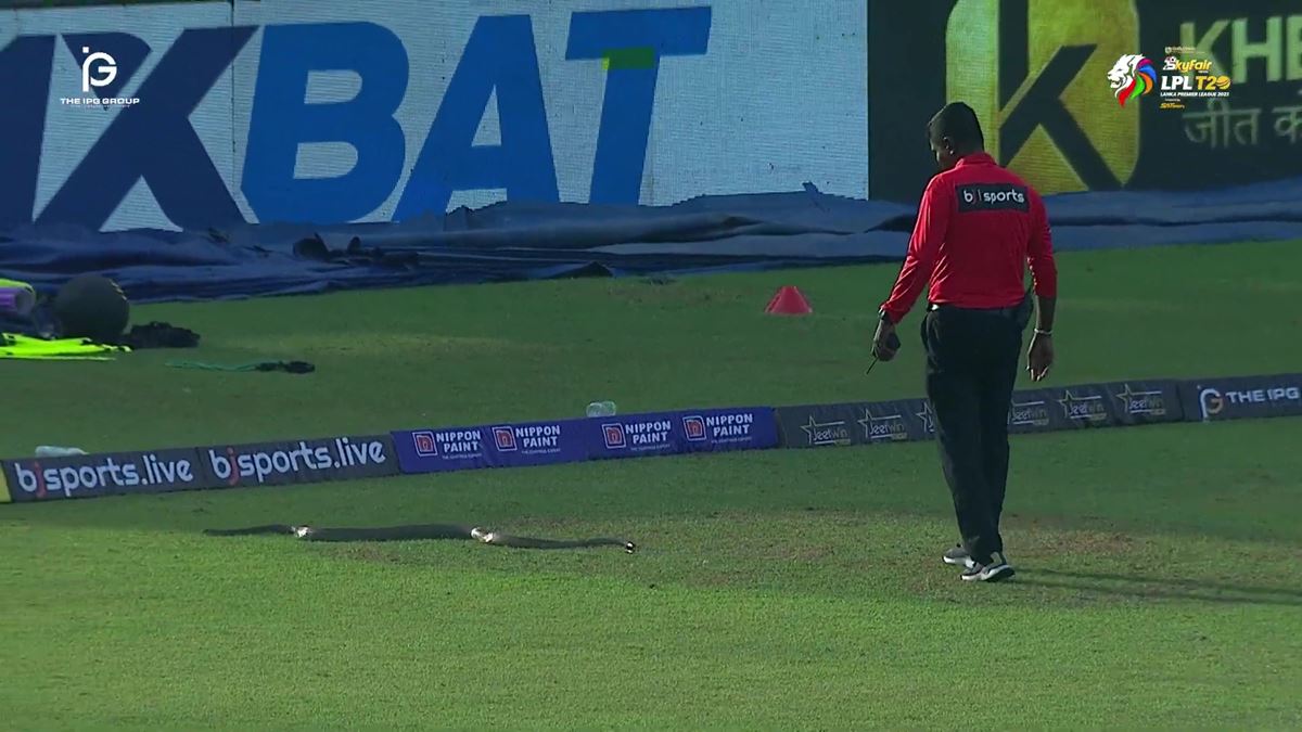 macta-sahaya-yilan-girdi-1