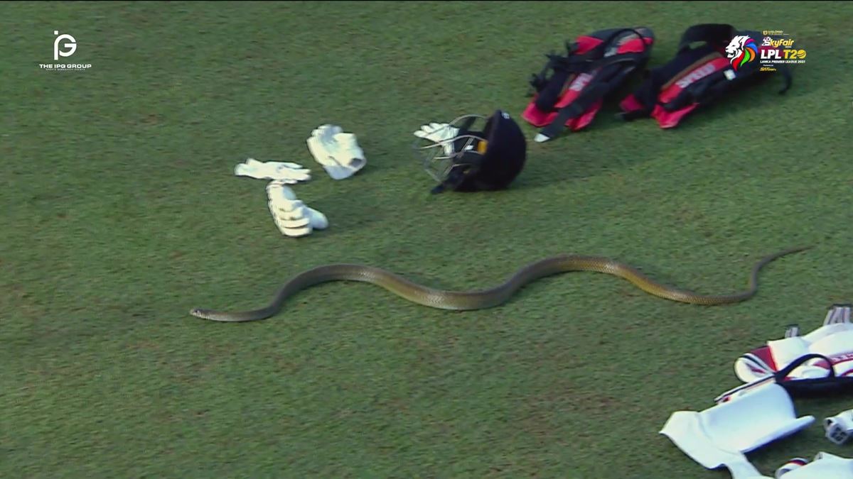 macta-sahaya-yilan-girdi-2